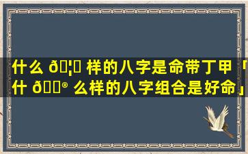 什么 🦆 样的八字是命带丁甲「什 💮 么样的八字组合是好命」